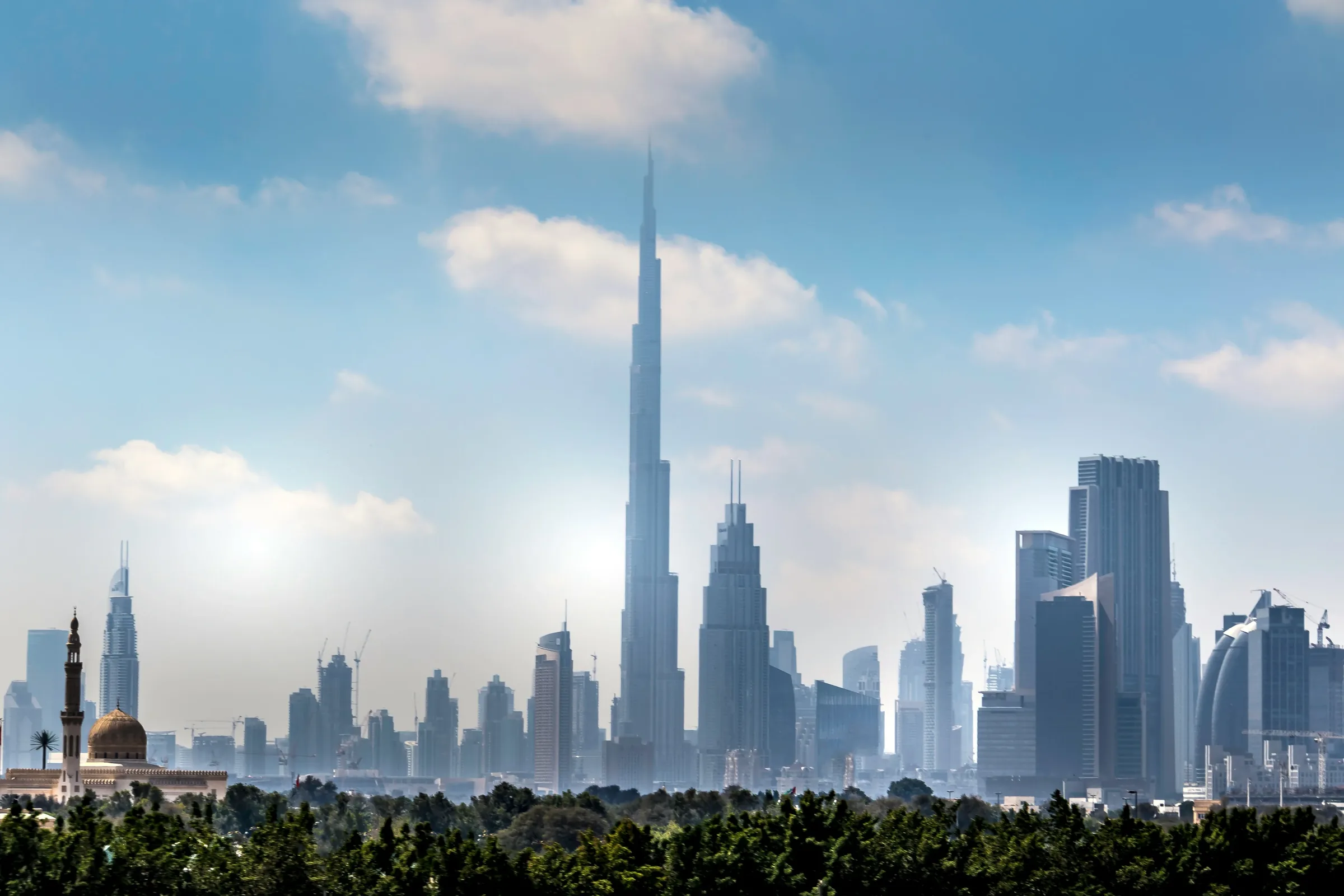 FW Global Insights — Input tax verification